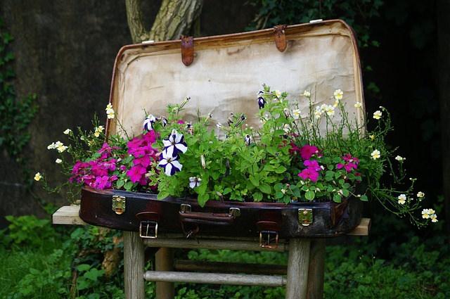 Landscaping Ideas