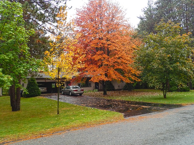 sealcoat driveway