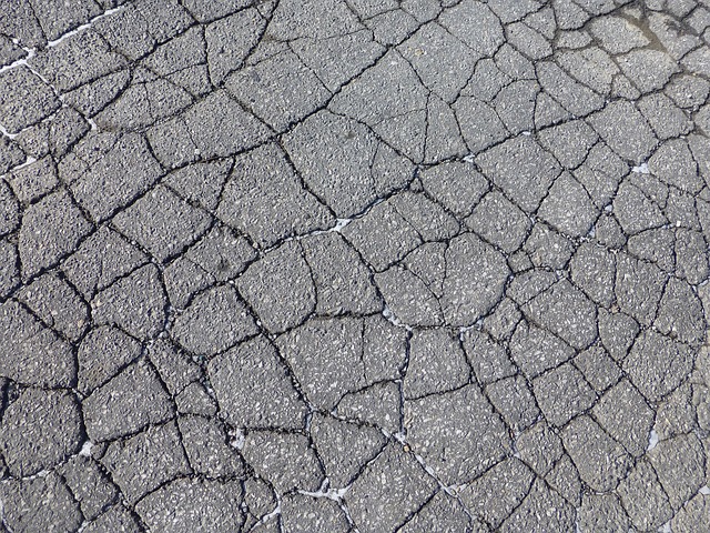 alligator cracks
